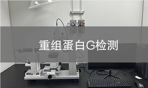 重组蛋白G检测