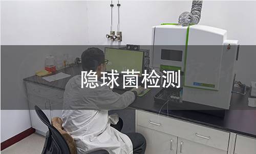 隐球菌检测
