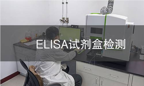 ELISA试剂盒检测 ELISA试剂盒检测