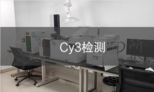 Cy3检测 Cy3检测