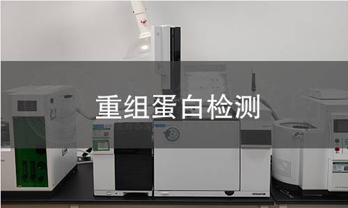 重组蛋白检测 重组蛋白检测