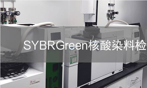 SYBRGreen核酸染料检测 SYBRGreen核酸染料检测