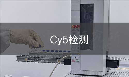Cy5检测 Cy5检测