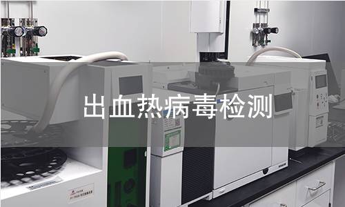 出血热病毒检测 出血热病毒检测