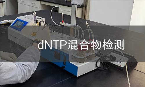 dNTP混合物检测 dNTP混合物检测
