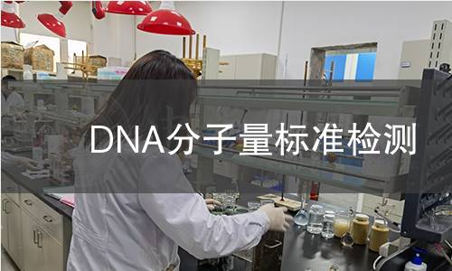 DNA分子量标准检测 DNA分子量标准检测