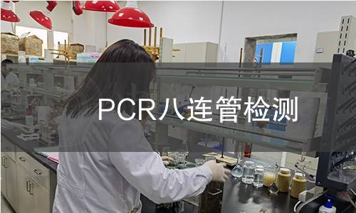 PCR八连管检测