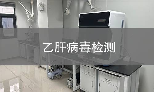 乙肝病毒检测 乙肝病毒检测