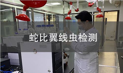 蛇比翼线虫检测