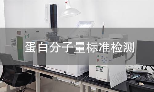 蛋白分子量标准检测 蛋白分子量标准检测