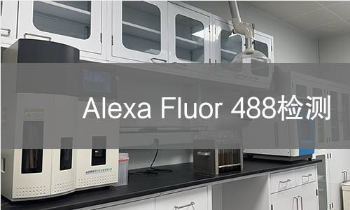 Alexa Fluor 488检测 Alexa Fluor 488检测