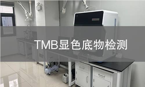TMB显色底物检测