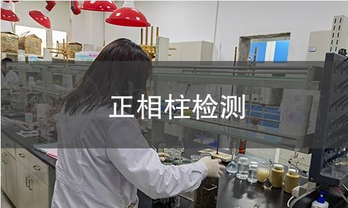 正相柱检测