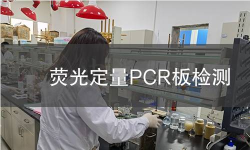 荧光定量PCR板检测 荧光定量PCR板检测