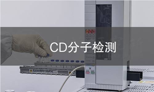 CD分子检测 CD分子检测