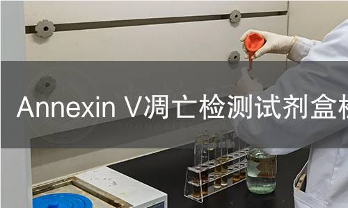 Annexin V凋亡检测试剂盒检测