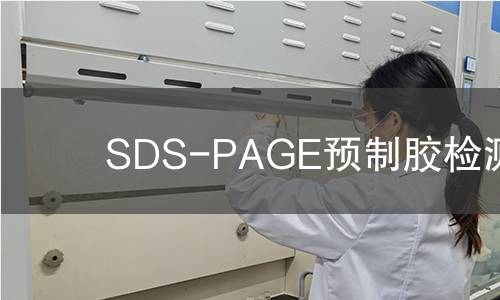 SDS-PAGE预制胶检测 SDS-PAGE预制胶检测
