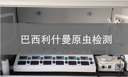 巴西利什曼原虫检测