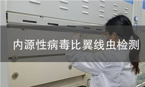 内源性病毒比翼线虫检测 内源性病毒比翼线虫检测