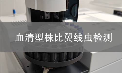 血清型株比翼线虫检测 血清型株比翼线虫检测