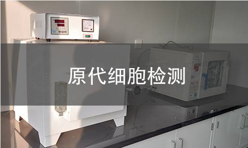 原代细胞检测 原代细胞检测