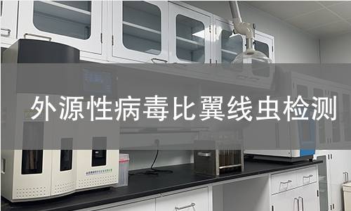 外源性病毒比翼线虫检测