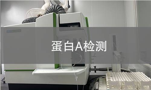 蛋白A检测 蛋白A检测