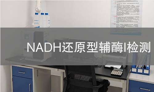 NADH还原型辅酶I检测