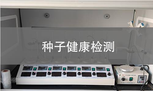 种子健康检测 种子健康检测