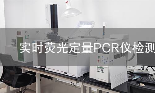 实时荧光定量PCR仪检测
