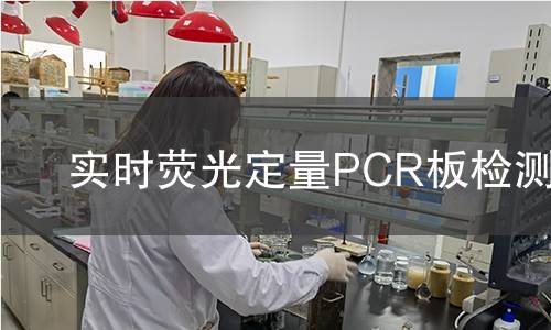 实时荧光定量PCR板检测 实时荧光定量PCR板检测