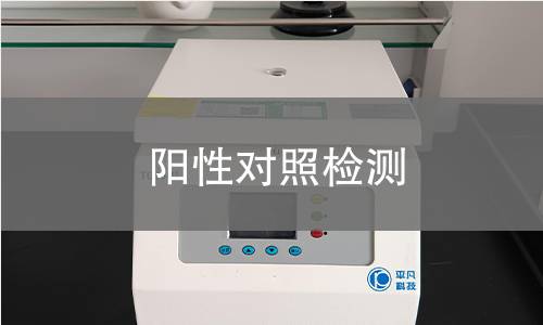阳性对照检测 阳性对照检测