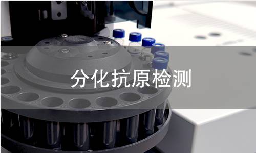 分化抗原检测 分化抗原检测