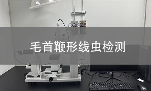 毛首鞭形线虫检测