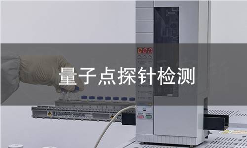 量子点探针检测 量子点探针检测