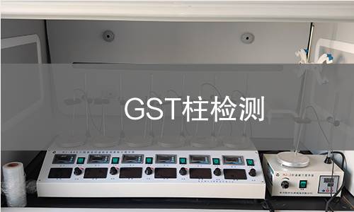 GST柱检测