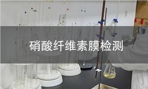硝酸纤维素膜检测