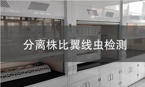 分离株比翼线虫检测