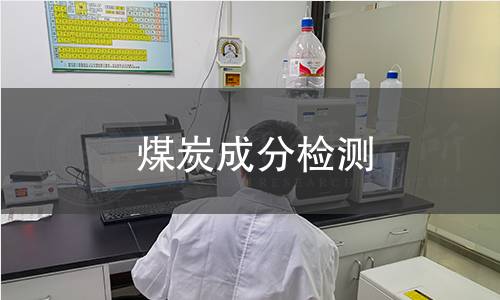 煤炭成分检测