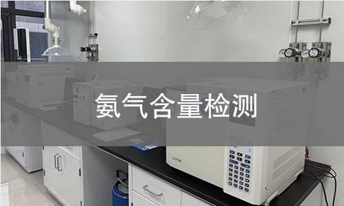 氨气含量检测