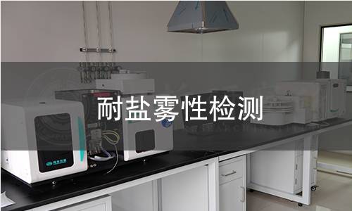 耐盐雾性检测