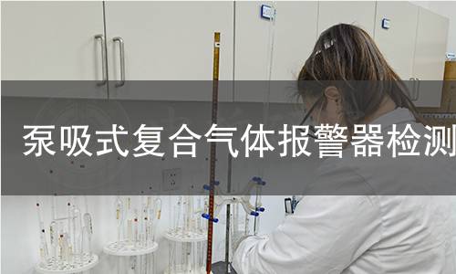 泵吸式复合气体报警器检测