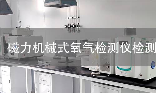 磁力机械式氧气检测仪检测 磁力机械式氧气检测仪检测