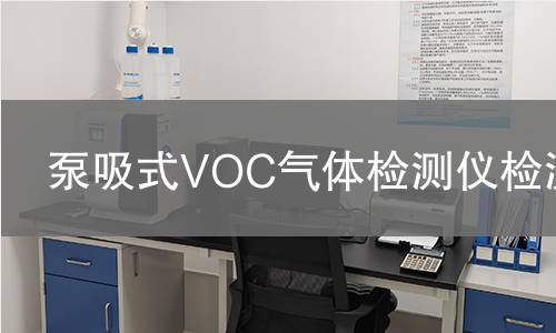 泵吸式VOC气体检测仪检测