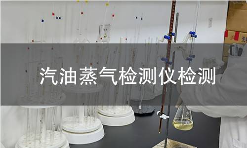 汽油蒸气检测仪检测