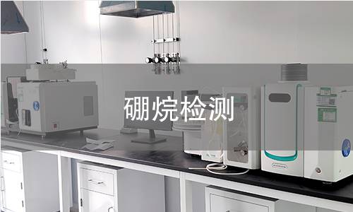 硼烷检测