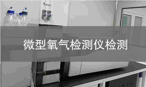微型氧气检测仪检测