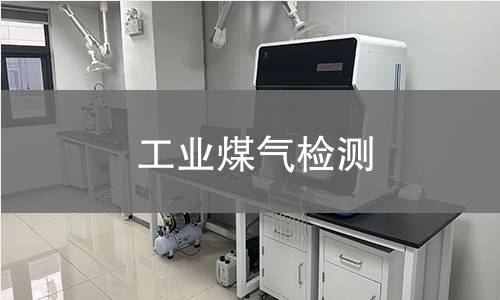工业煤气检测 工业煤气检测
