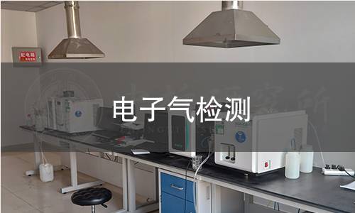 电子气检测