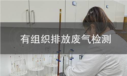 有组织排放废气检测 有组织排放废气检测